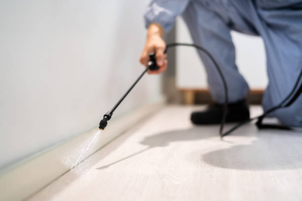 Licensed Termite Control service in Renville County County, MN - Nex Pest Control
