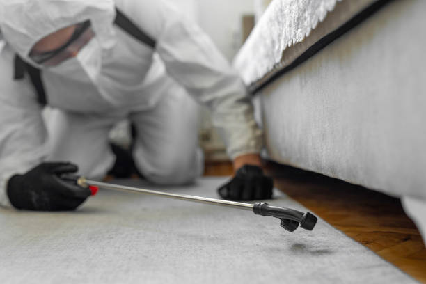 Professional Termite Control technician working in Renville County County, MN